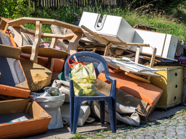 Best Furniture Removal Near Me  in Brooklyn Park, MN