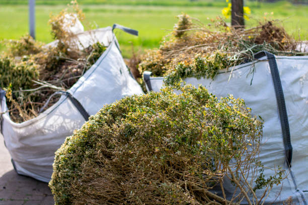 Best Household Junk Removal  in Brooklyn Park, MN